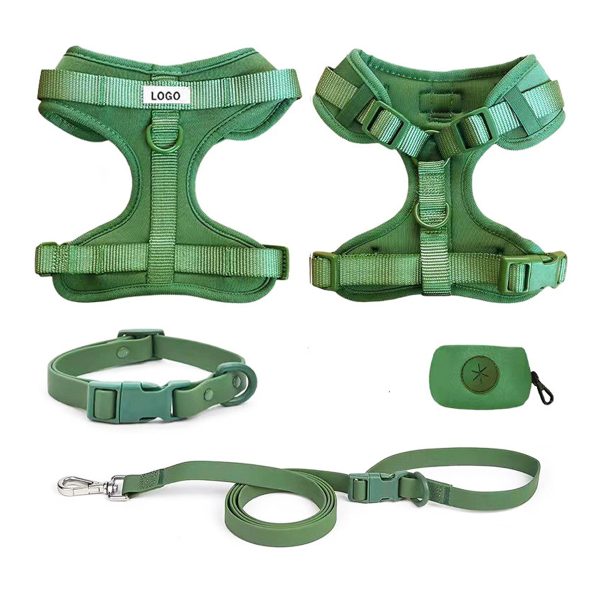 Outdoor Dog Leash Set