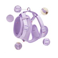 Outdoor Dog Leash Set - Image 2