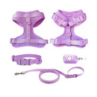 Outdoor Dog Leash Set - Image 3