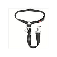 Retractable Pet Leash w/ Metal Carabiner - Image 2