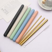 Stainless Steel Straw Set with Shell and Brush - Image 4