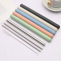Stainless Steel Straw Set with Shell and Brush - Image 5