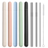 Stainless Steel Straw Set with Shell and Brush - Image 2