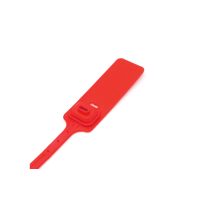 Disposable Plastic Tension Seal Buckles - Image 5