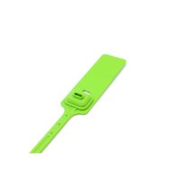 Disposable Plastic Tension Seal Buckles - Image 7